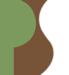 premier staffing logo